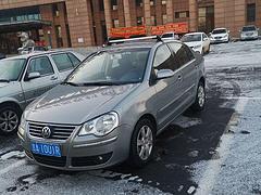 大众POLO 2008款 POLO 劲取 1.4 手动 雅适