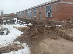 鹤岗市萝北县江滨农场大面积肉牛养殖场出租。