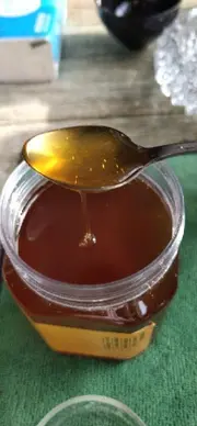 纯山蜂蜜（中华蜂）