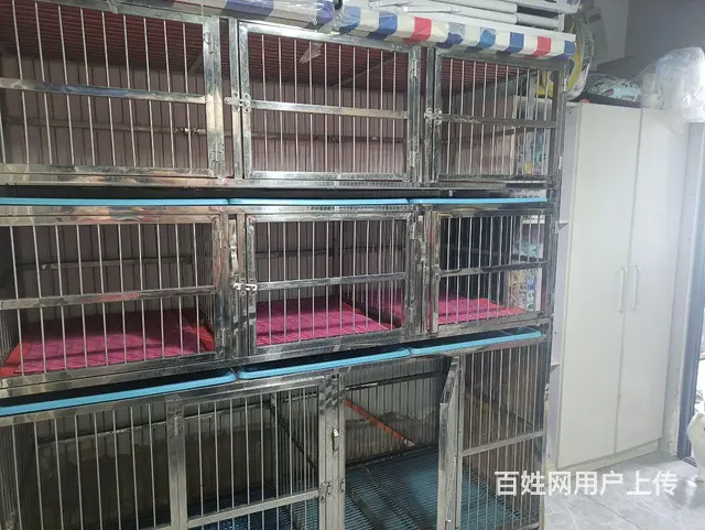 宠物店出兑的图片