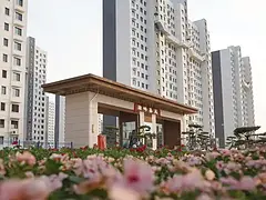 阳信出租600一个月
