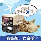 双柏宠物托运{猫狗长途搬家}活体快速邮寄2024安全高效全国