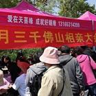 济南济阳相亲联谊相亲找对象在线咨询