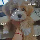 价格面议