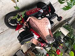 电动车出售