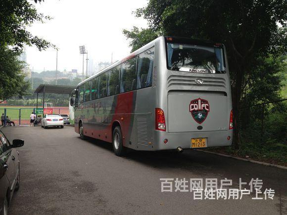 每日推荐#兴仁地区宠物托运门对门上接送的图片