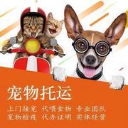 包头宠物托运（猫咪狗狗）邮寄（承接所有活体运输）专业狗狗托运