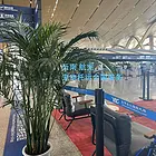 昆明宠物托运全国 拒绝假空运快速到达