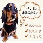 信阳淮滨宠物托运猫狗活体邮寄运输服务