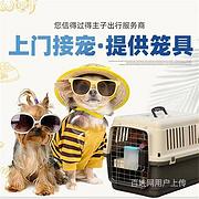 南阳镇平宠物托运 空运 陆运 活体运输上门接送