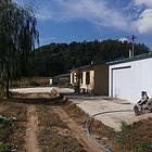 大果平欧榛子休闲采摘山庄出售