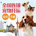 浏阳宠物托运{猫狗长途搬家}活体快速邮寄2024安全快捷全国