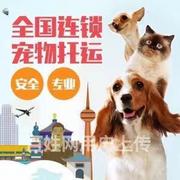 永春宠物托运{猫狗长途搬家}活体快速邮寄2024安全高效全国