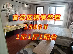 昆明市全市区整租合租好房推荐 公寓1厅 豪华装修