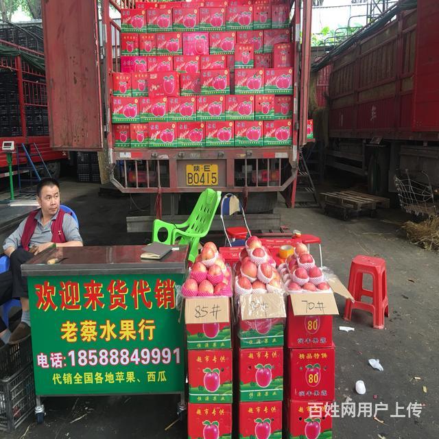东莞下桥社区水果整车交易苹果批发市场