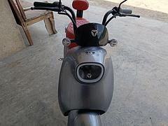 雅迪48v，续航100公里，