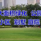 安庆哪里有四季青草籽经销商