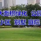 安庆哪里有四季青草籽经销商