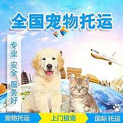 宁波宠物托运（猫咪狗狗）邮寄快递运输（承接所有活体运输）今日