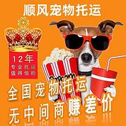 邵阳宠物托运（猫咪狗狗）邮寄（承接所有活体运输）宠物活体邮寄