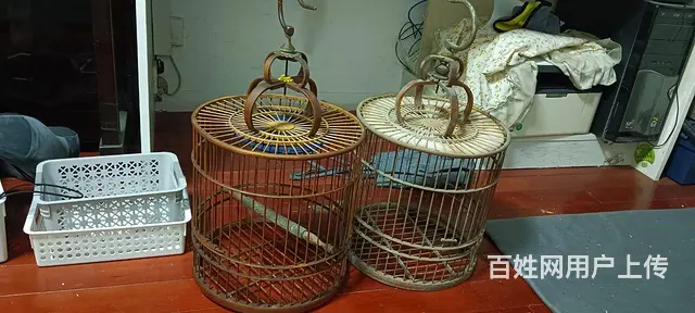 鸟笼子的图片