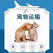 修武宠物托运{猫狗长途搬家}活体快速邮寄2024安全快捷全国