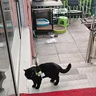 出门，没人照看，