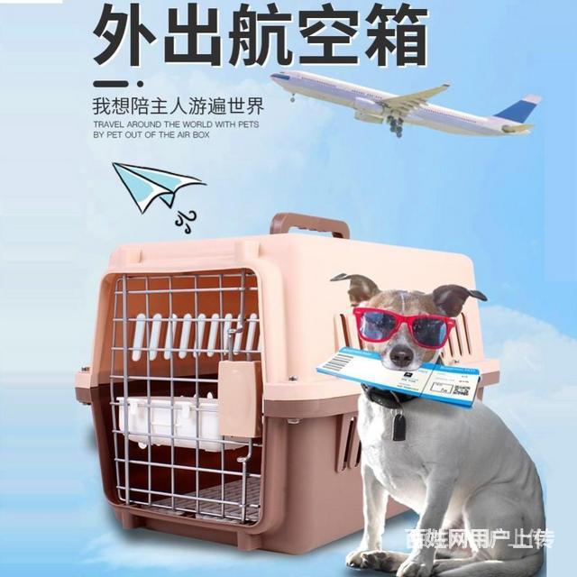 南昌宠物托运猫狗托运流程查询TY133**880的图片