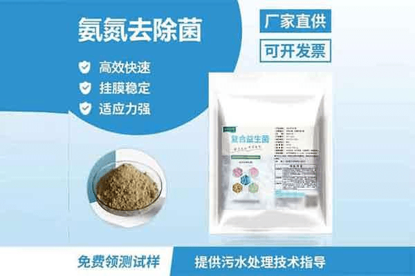 氨氮去除菌