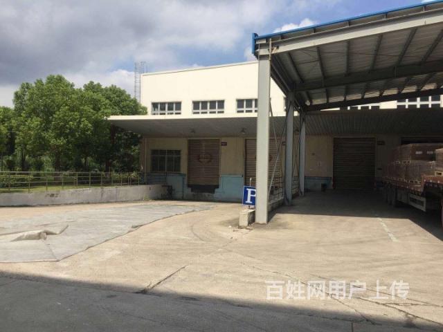曹路独栋单层 丙二消防 带下沉式卸货平台 一手业主