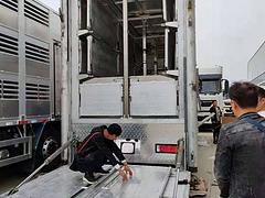 恒温厢式拉猪车 可分期上户无忧
