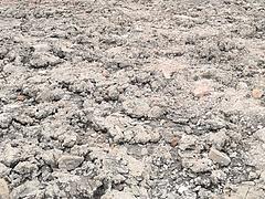 沙溪与新昌交界120亩工业用地出售55万一亩 交通非常便利