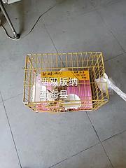 宁波象山宠物托运（猫狗鸽子金毛）活体运输邮寄到全国2023（