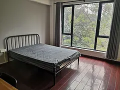 大单间，落地窗，阳光充足，视野开阔