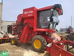 22年100，黑玉才
