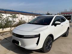 欧拉iQ 2019款 出行版