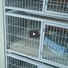 二手猫笼