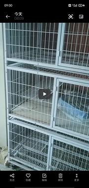 二手猫笼