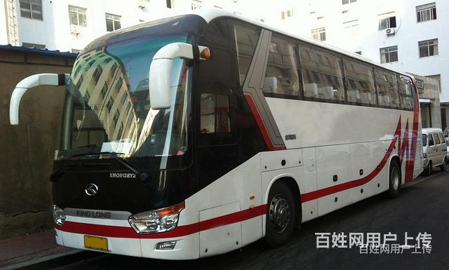 湛江宠物托运/运输流程/价格咨询(湛江宠物托运网）的图片