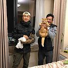嘉兴猫猫跳窗了怎么办，，找寻宠宠物救援队