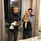 嘉兴猫猫跳窗了怎么办，，找寻宠宠物救援队