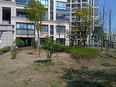 上上城二期 新房4室2厅 1楼毛坯