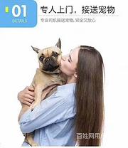 2022新信息/南平宠物托运/猫咪/狗狗（全境托运）活体运输
