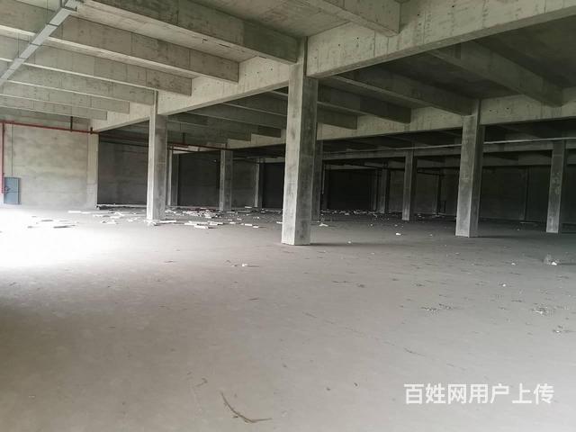 浦东30000平丙二类厂房可改高平台带60亩水泥地无税收要求