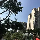 包头市押车大本借款按揭房银行贷款|汽车房子抵押公司贷款