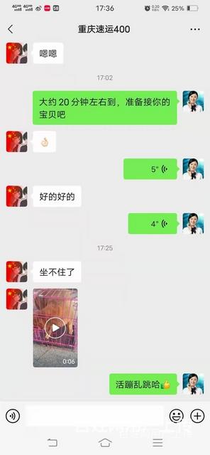 昌吉宠物托运（猫狗运输）活体邮寄快递2022/（今日推荐）.的图片