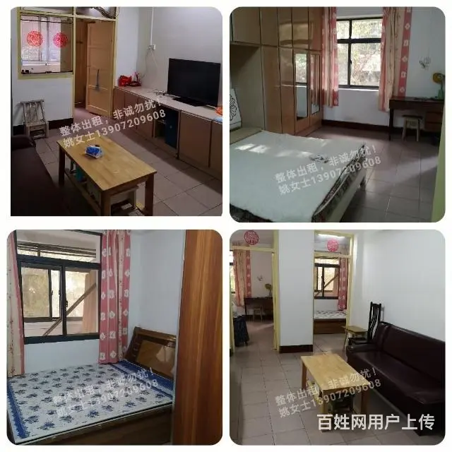 房屋出租地址十三码头万达广场附近，也可以做小公司办公室用的图片