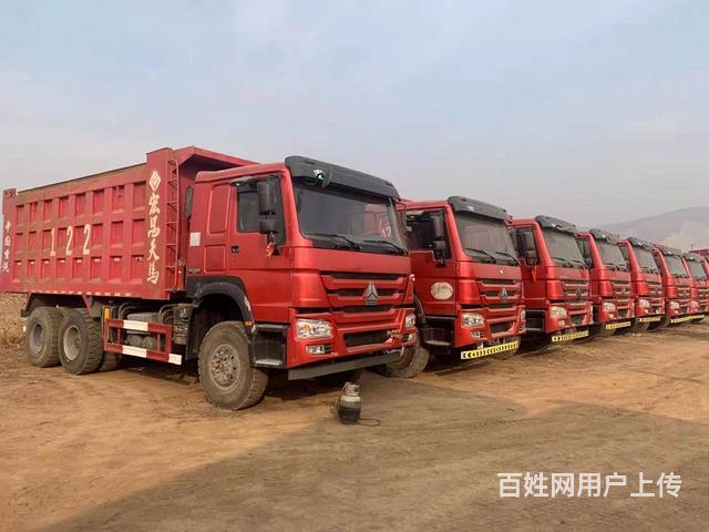 多台19年无户豪沃后八轮自卸车5米8箱375马力的图片