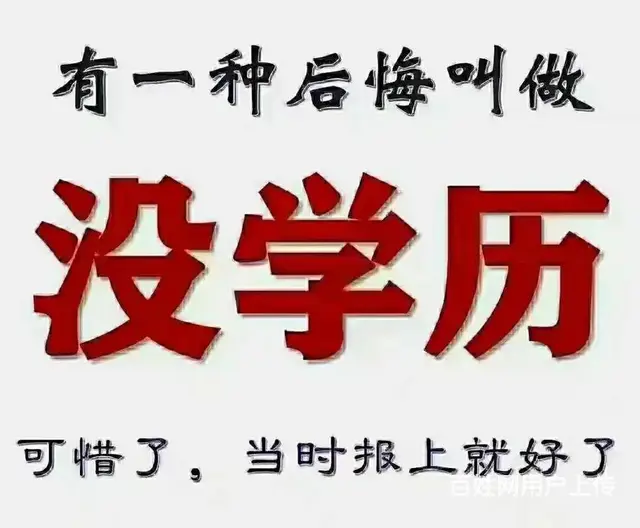 桐乡本学习外语的图片