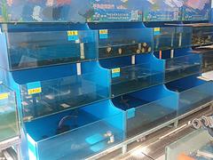 海鲜行转让